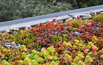 the cost of Causeway Foot green roof installation